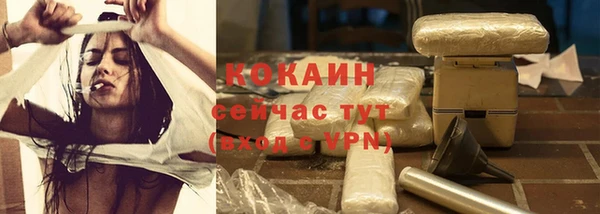 дживик Балахна