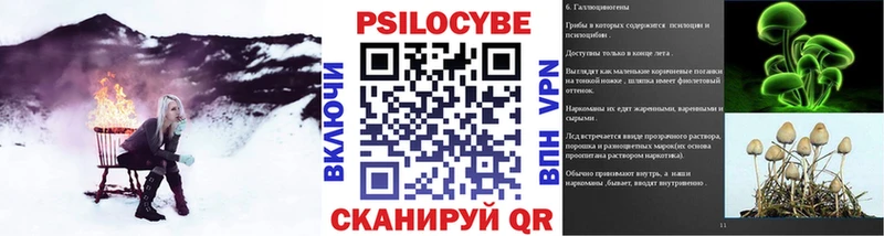 Галлюциногенные грибы Magic Shrooms  Купить закладки  Славск 